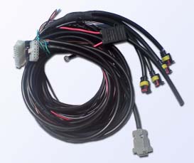 LPG/CNG controller BLUETRONIC wiring